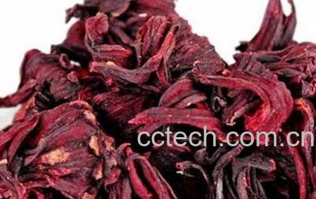 玫瑰茄泡水喝的功效与作用-0