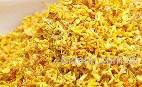 桂花茶的作用与副作用-0