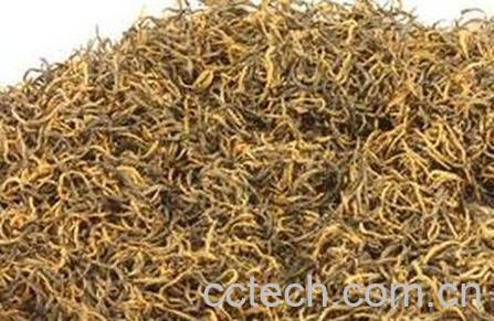 细芽金骏眉泡法-0