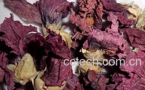 紫罗兰花茶的功效与作用-0