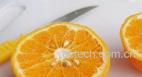 橙子籽的功效与作用-0