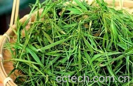 竹叶青花茶的功效-0