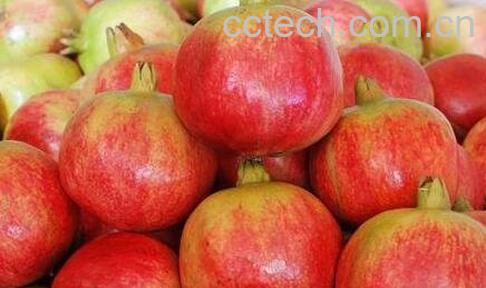 石榴的神奇功效有哪些-0