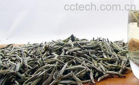 白茶和毛尖的区别 -0