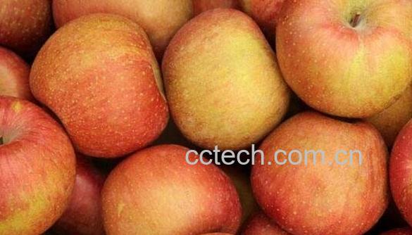 空腹吃苹果好吗 -0