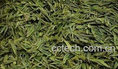 采花毛尖怎么选 -0