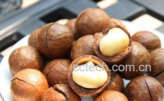 夏威夷果的营养价值-0