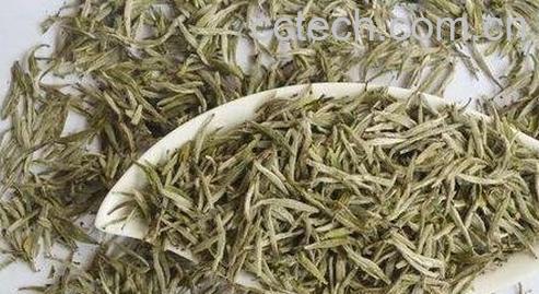 白茶毛尖的功效与作用-0