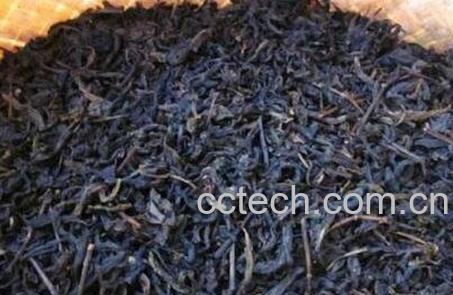 安化黑毛尖茶叶的功效与作用-0