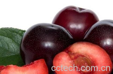 黑布林是什么 -0