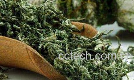  白毛尖茶冲泡方法-0