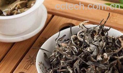  白毛尖的药用价值-0