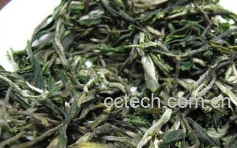 白毛尖喝了有什么好处-0