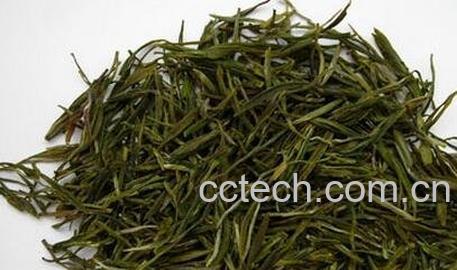 碧峰茶和毛尖的区别-0