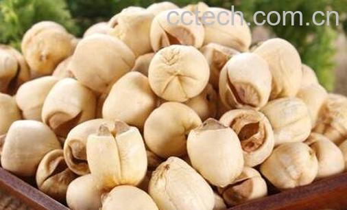 莲子的功效作用与食用方法-0