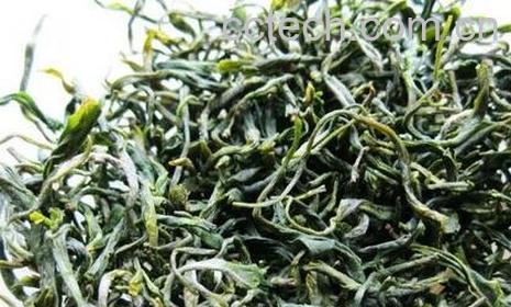 哺乳期能喝毛尖吗 -0