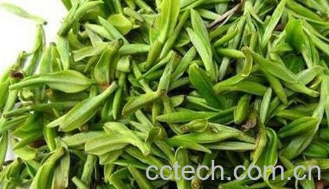 采花毛尖是什么茶 -0
