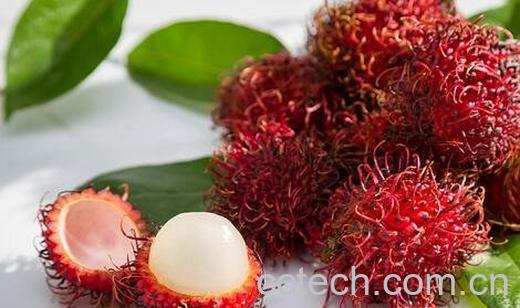 怎么辨别红毛丹的好坏-0