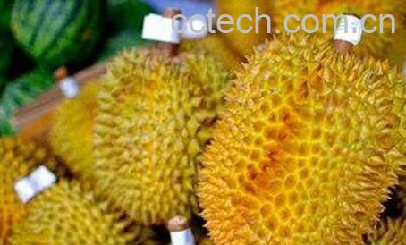 吃榴莲的好处有哪些-0