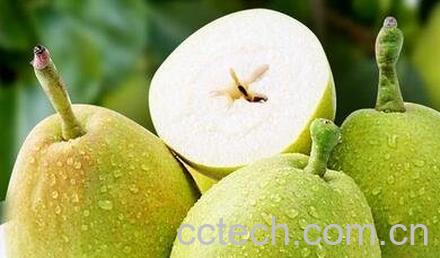 库尔勒香梨的功效与作用-0