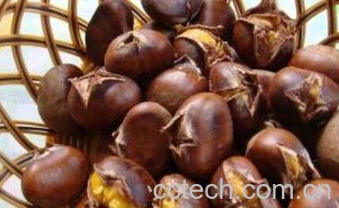 生栗子怎么去皮快-0