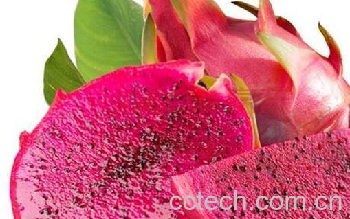 吃火龙果上火吗 -0