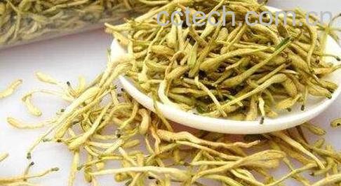 常见的保健茶有哪些-0