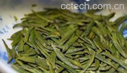 日铸雪芽什么茶-0