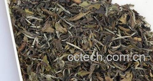 老白茶的冲泡方法 -0