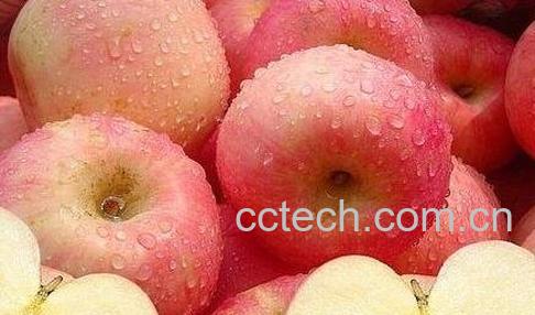 吃苹果能减肥吗 -0