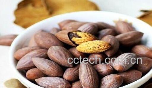 香榧的功效与作用-0