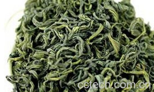 崂山茶的特色与功效-0