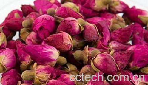 喝玫瑰花茶的禁忌与注意事项-0