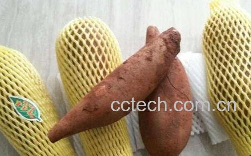 雪莲果的营养价值 -0