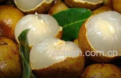 龙眼吃多了会怎么样-0