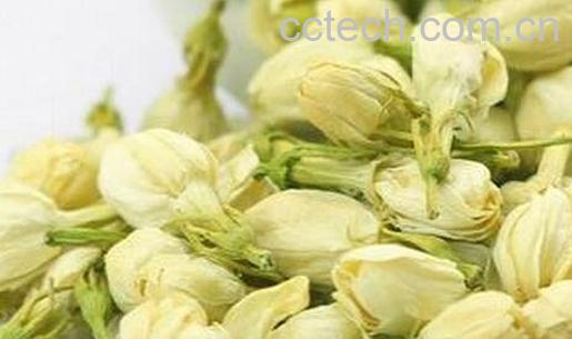 常见的花茶有哪些-0