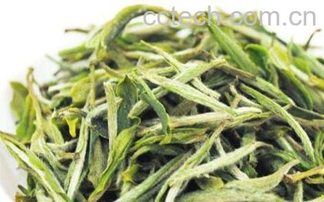 黄山毛峰属于什么茶-0