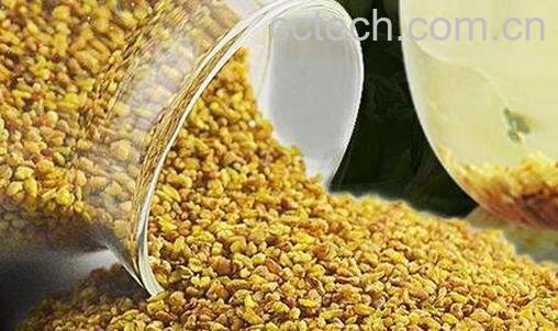 苦荞茶的泡法 -0