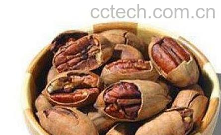 胡桃仁的药用价值与功效-0