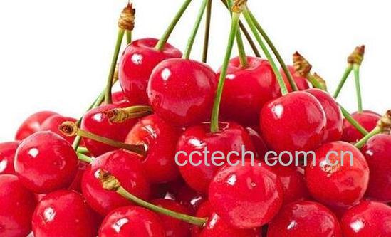 樱桃的营养价值与食用禁忌-0