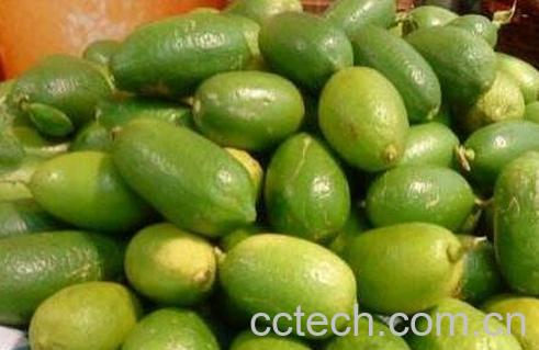 香水柠檬的功效与作用-0