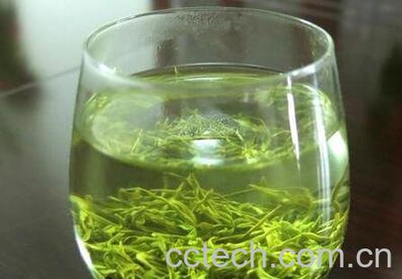 哪些茶是绿茶-0