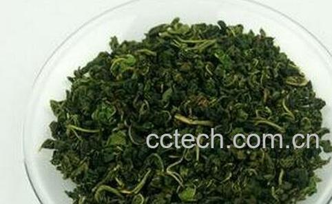  桑叶茶的功效与作用-0