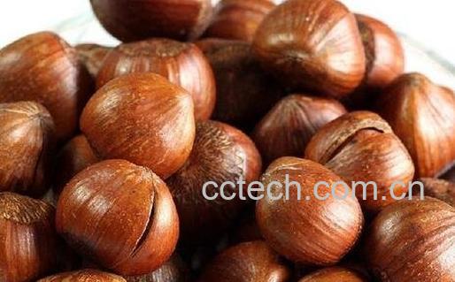 榛子的营养价值 -0