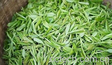 西湖龙井是绿茶吗-0