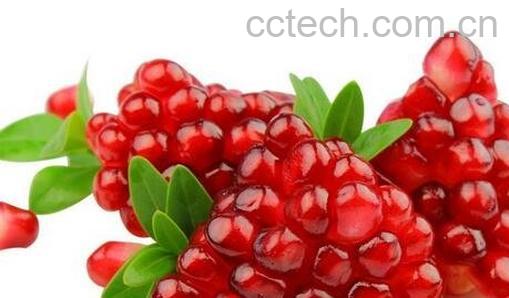 石榴籽能吃吗 吃石榴籽的好处-0