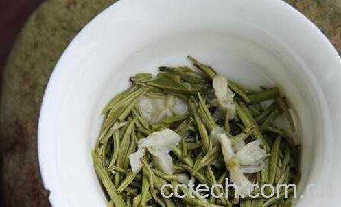 茉莉花茶毛尖的功效与作用-0