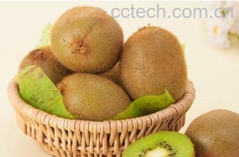 每天吃猕猴桃好吗-0