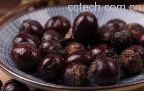 龙眼核能吃吗-0