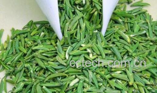 绿茶的副作用 喝绿茶的禁忌-0